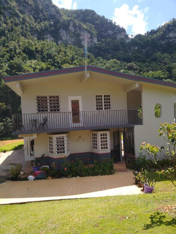 Casa De Campo Rio Arriba Arecibo Exteriör bild
