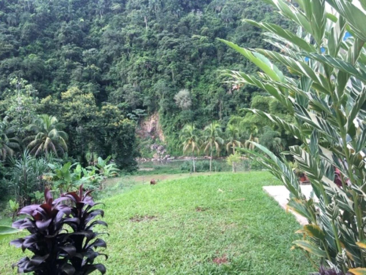 Casa De Campo Rio Arriba Arecibo Exteriör bild